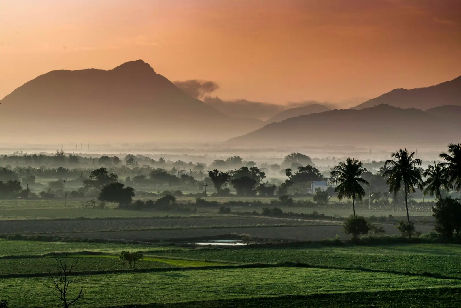 Misty hills and green fields near Coimbatore at sunrise
